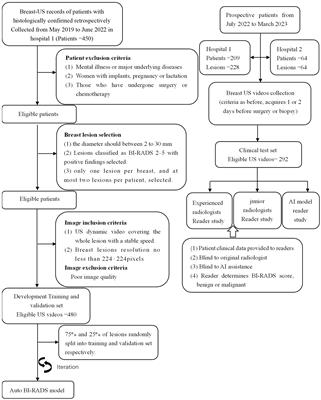 Prospective assessment of breast lesions AI classification model based on ultrasound dynamic videos and ACR BI-RADS characteristics